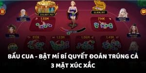 Bầu cua - Bật mí bí quyết đoán trúng cả 3 mặt xúc xắc