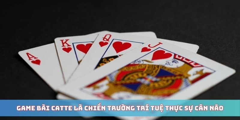 Game bài Catte là chiến trường trí tuệ thực sự cân não