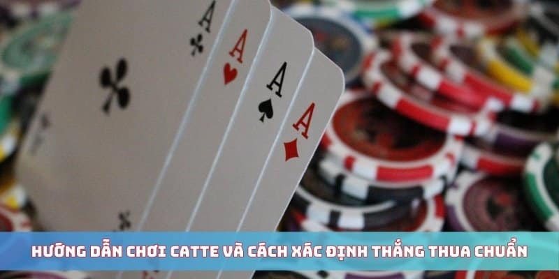 Hướng dẫn chơi Catte và cách xác định thắng thua chuẩn
